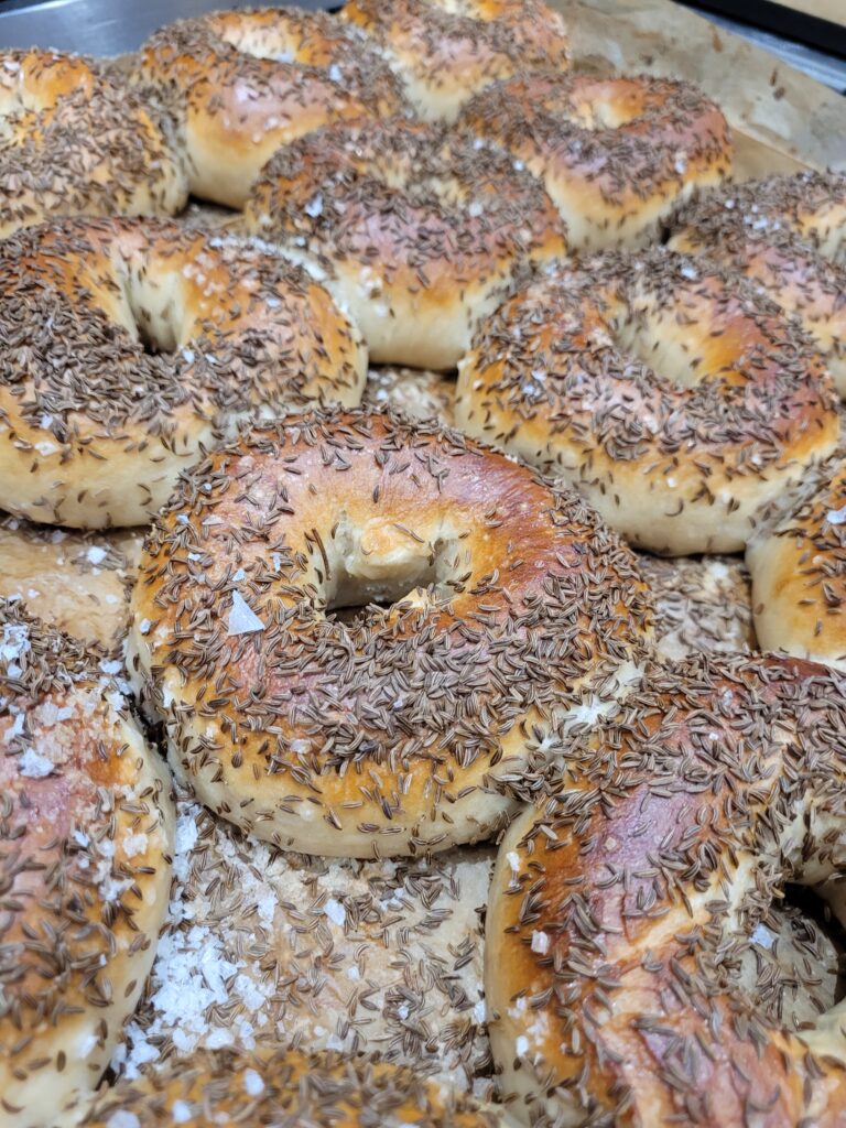Deanston Bakery OFFER Caraway Seeded Bagel (1) Deanston Bakery OFFER Caraway Seeded Bagel (1)