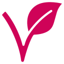 vegan vegan